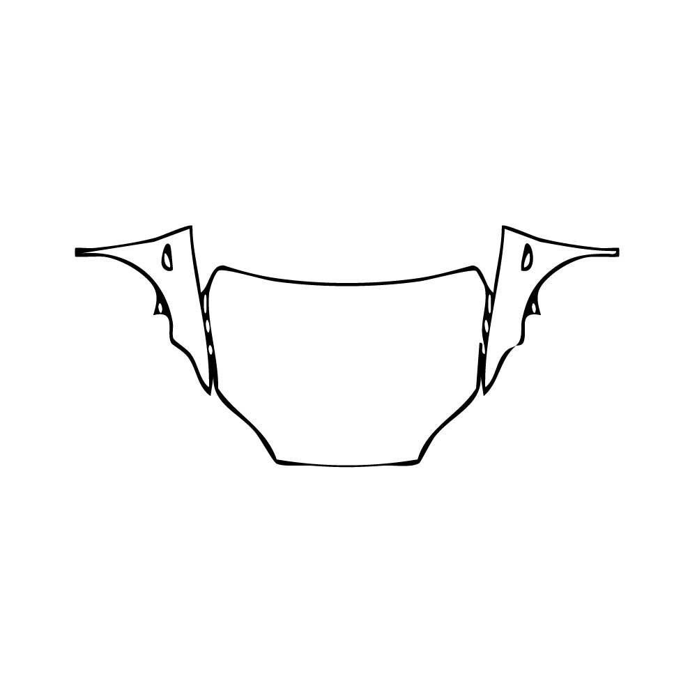 Pre-Cut PPF Tesla Model X Base 2016 - PPF-Kits