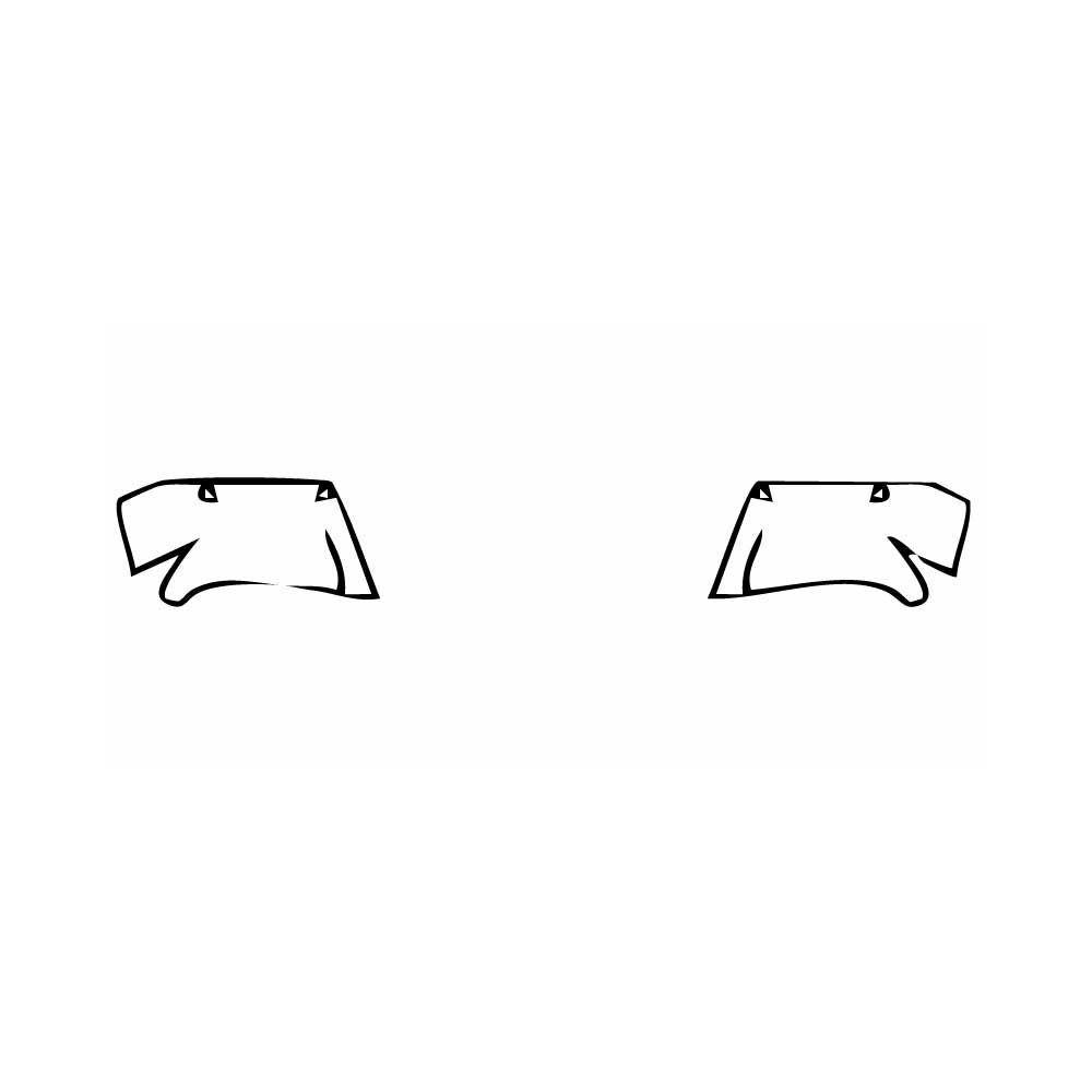 Pre-Cut PPF Ford Ranger (EU) Wildtrak 2020 - PPF-Kits