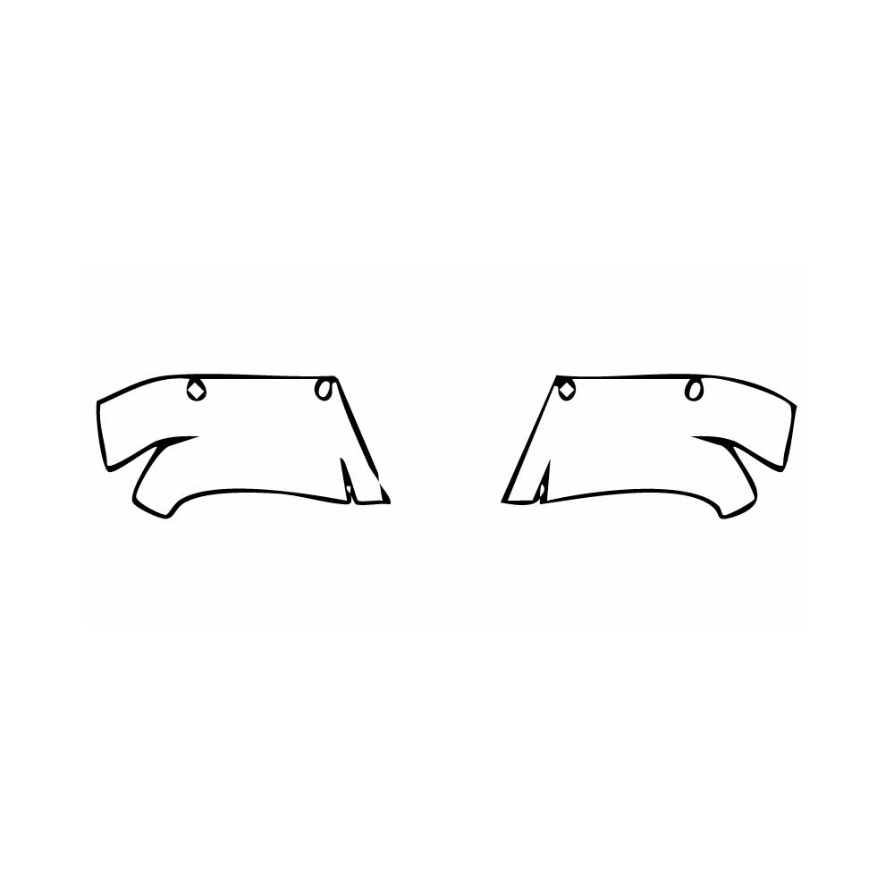 Pre-Cut PPF Ford Ranger (EU) Wildtrak 2016 - PPF-Kits